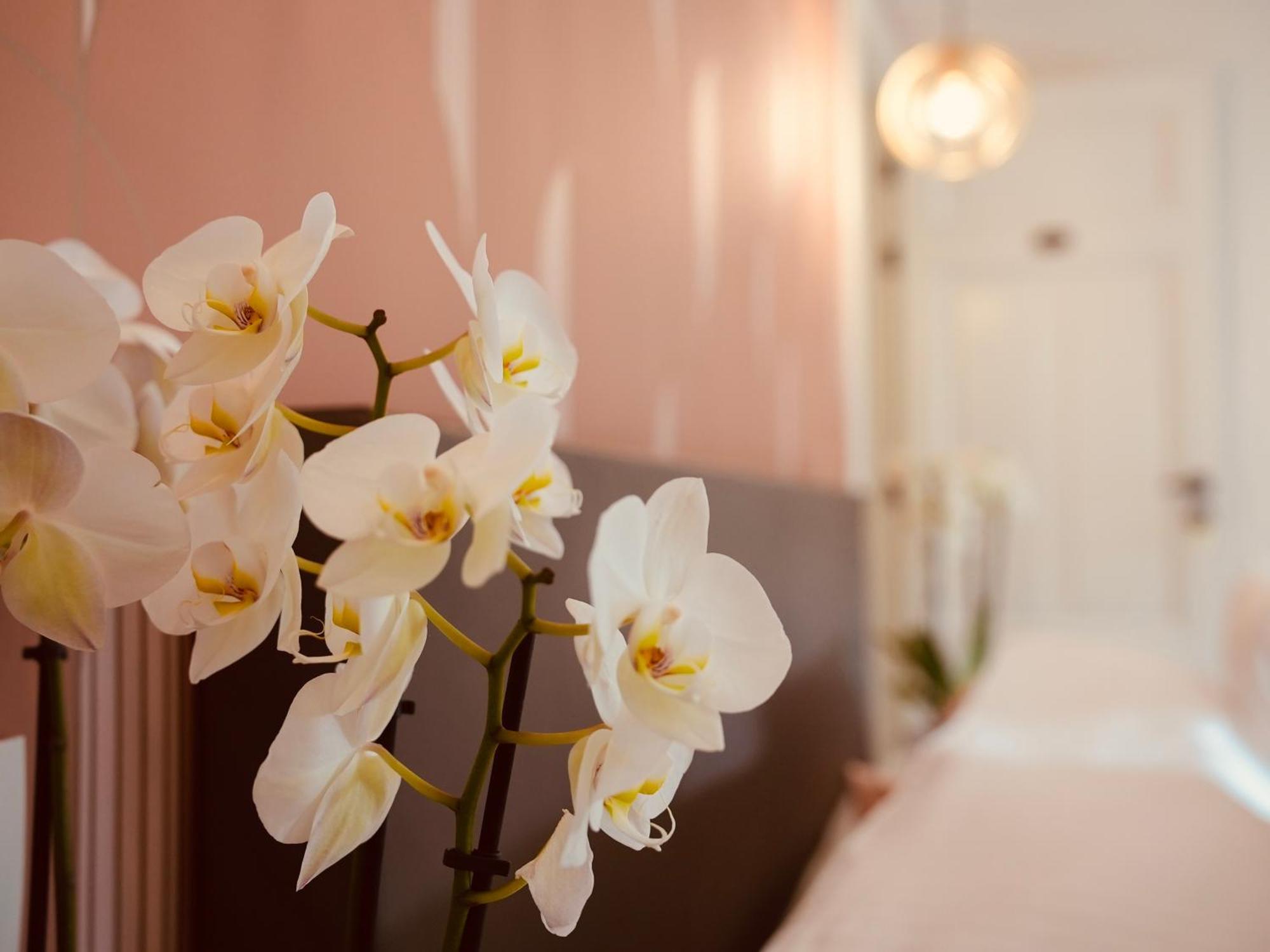 L'amarante D'hotes Ou Citadin * Theux